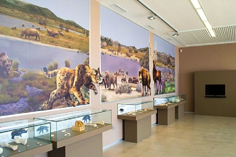 MUSEO PRIMEROS POBLADORES DE EUROPA – CENTRO JOSEP GILBERT