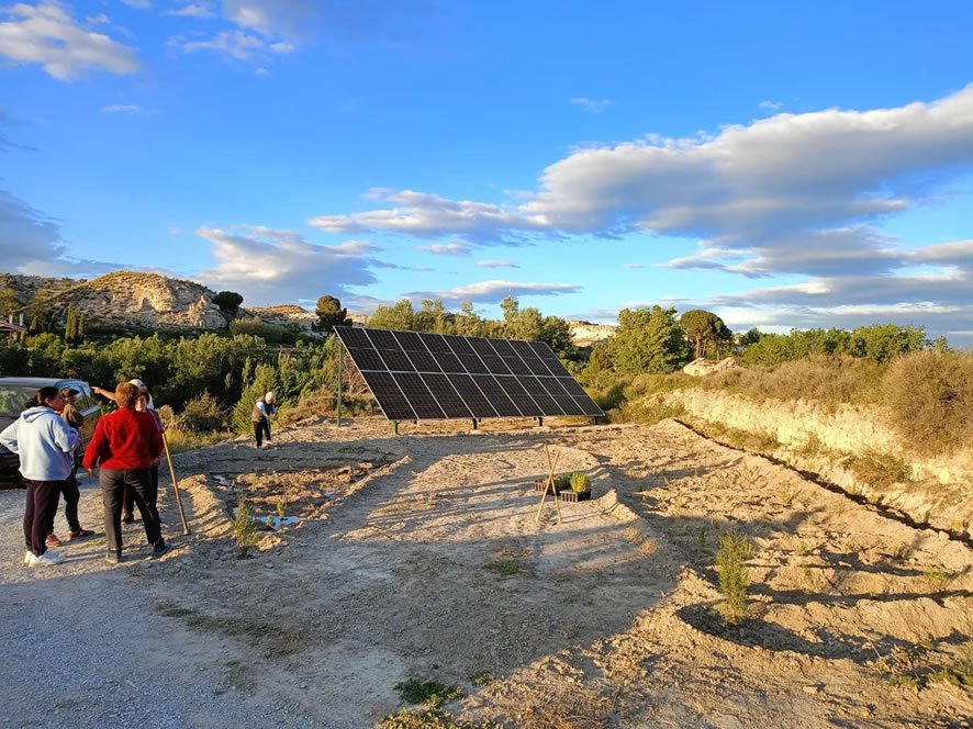 Siembra de plantas aromáticas en Galera 